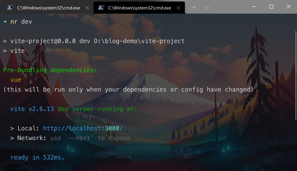 vite dev time spent